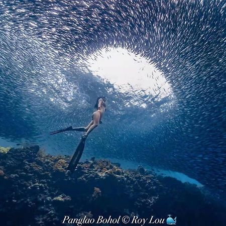 Ultra Mint Dive Resort Panglao Dış mekan fotoğraf