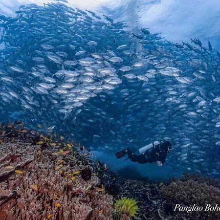 Ultra Mint Dive Resort Panglao Dış mekan fotoğraf