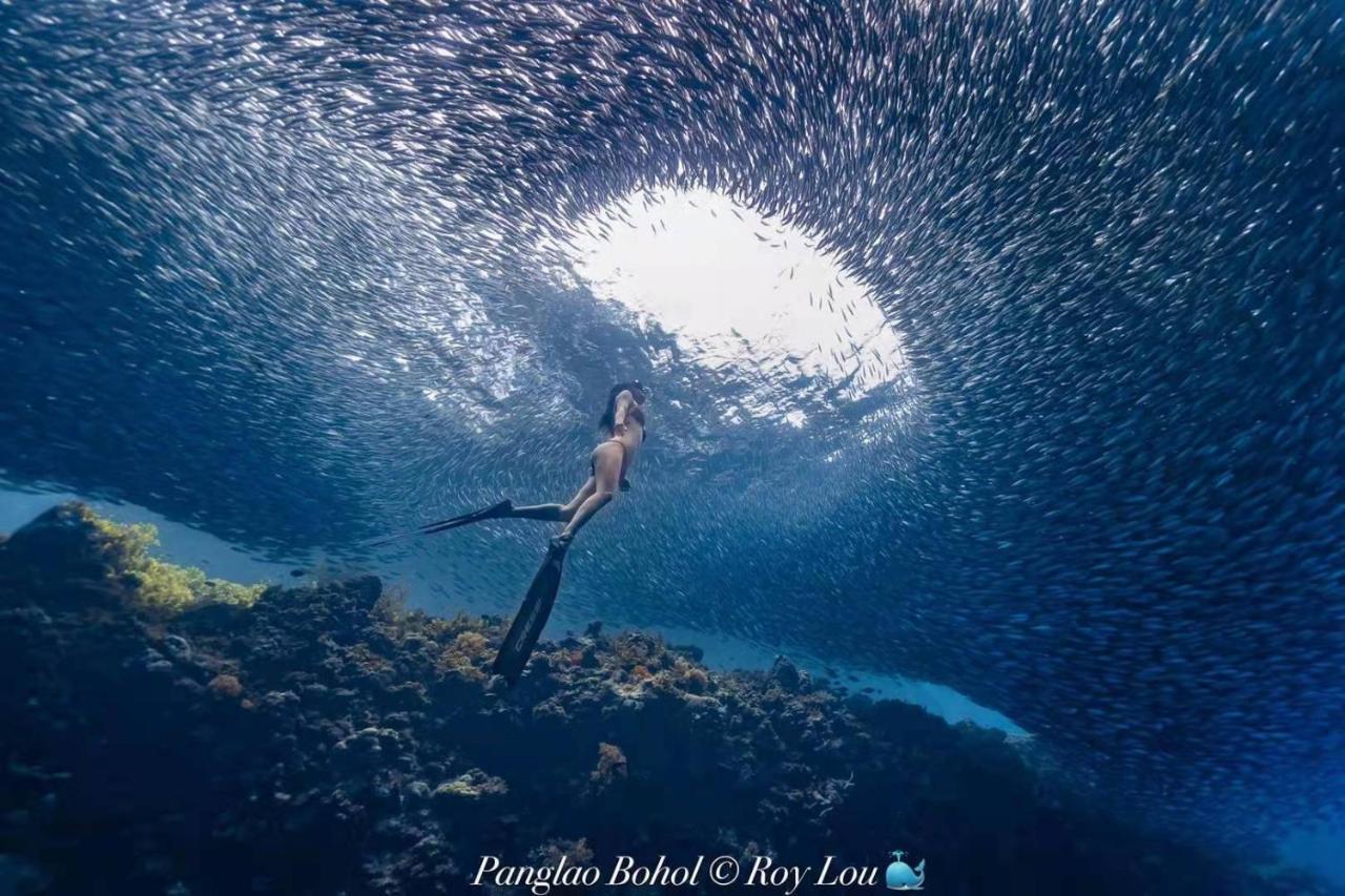 Ultra Mint Dive Resort Panglao Dış mekan fotoğraf