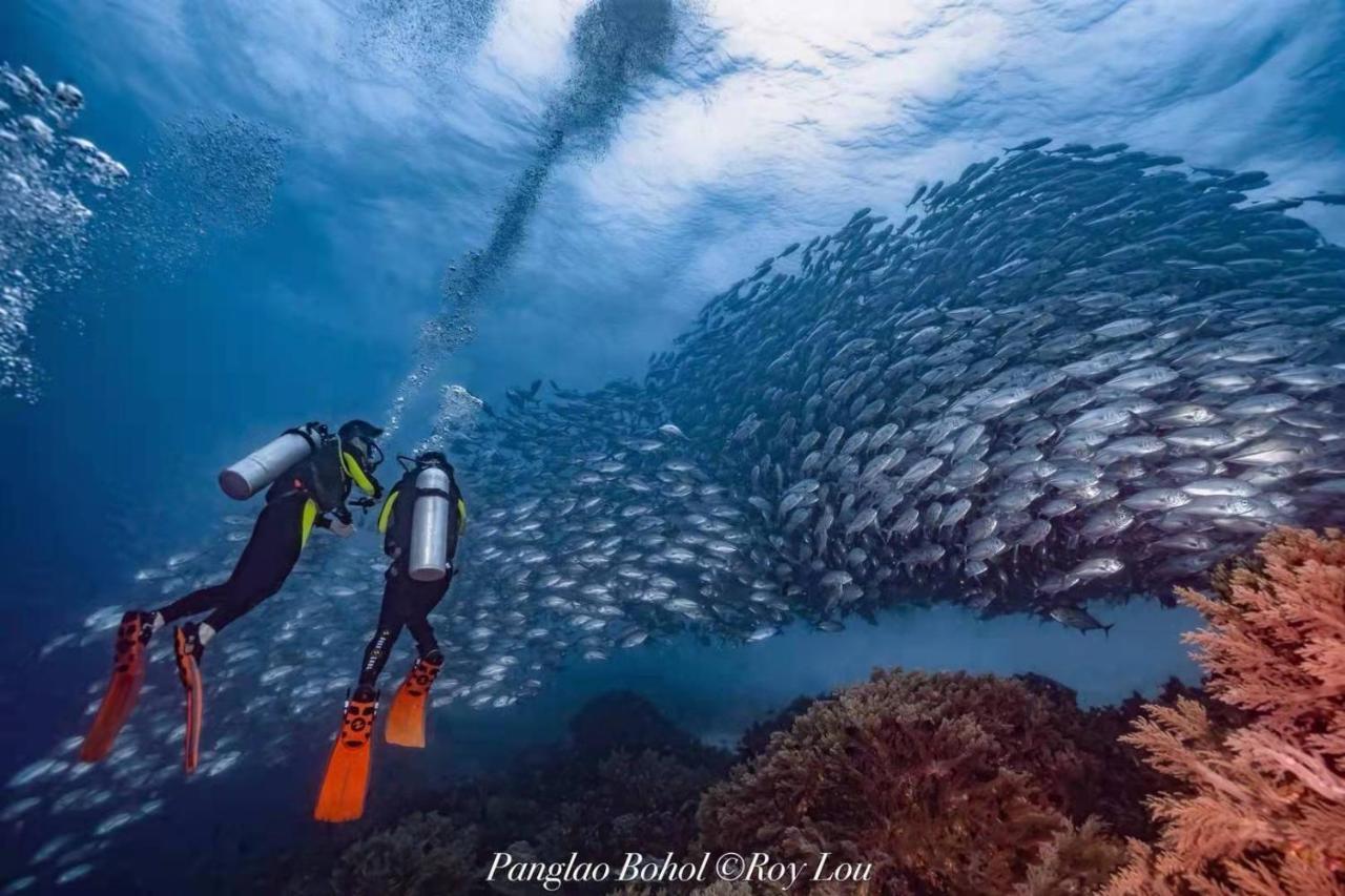 Ultra Mint Dive Resort Panglao Dış mekan fotoğraf
