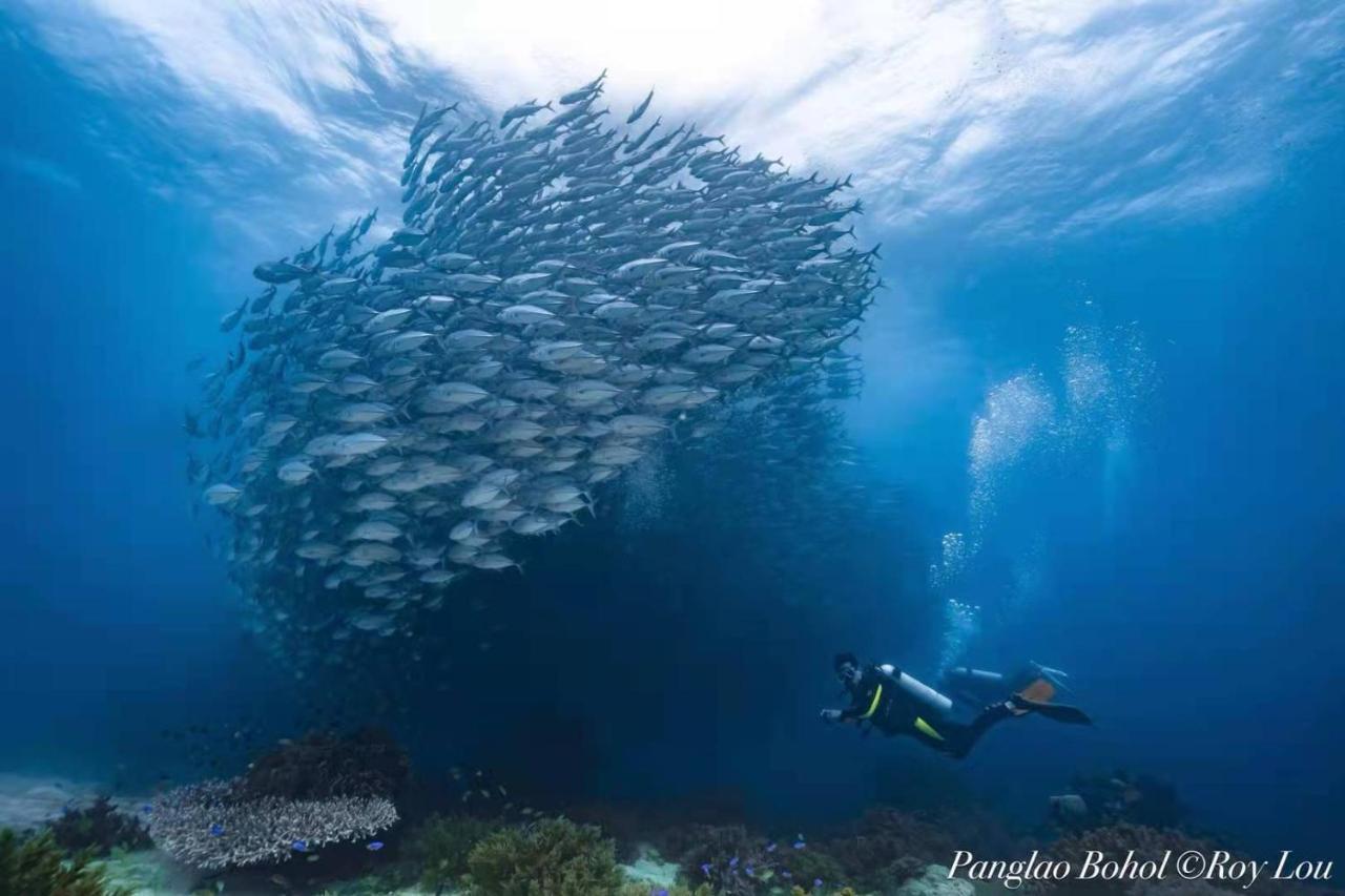 Ultra Mint Dive Resort Panglao Dış mekan fotoğraf