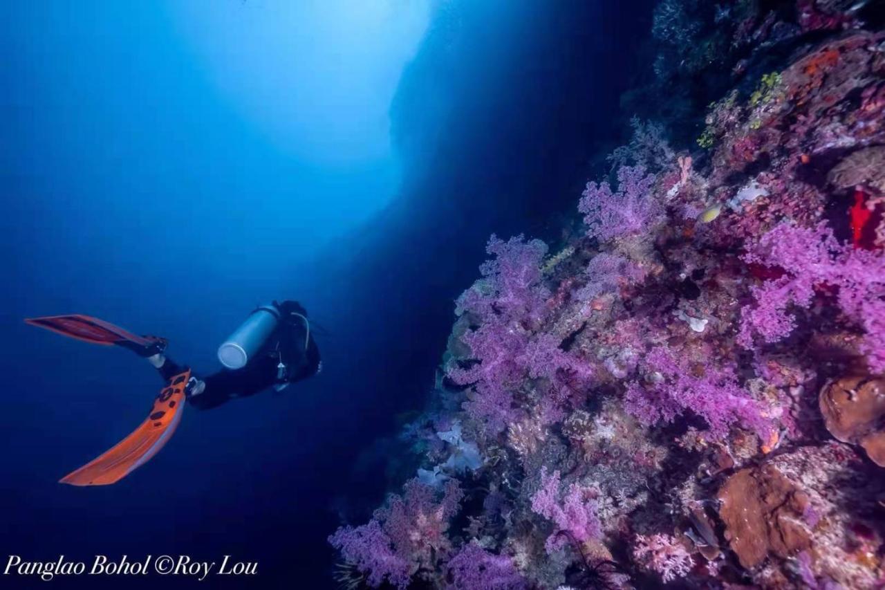 Ultra Mint Dive Resort Panglao Dış mekan fotoğraf